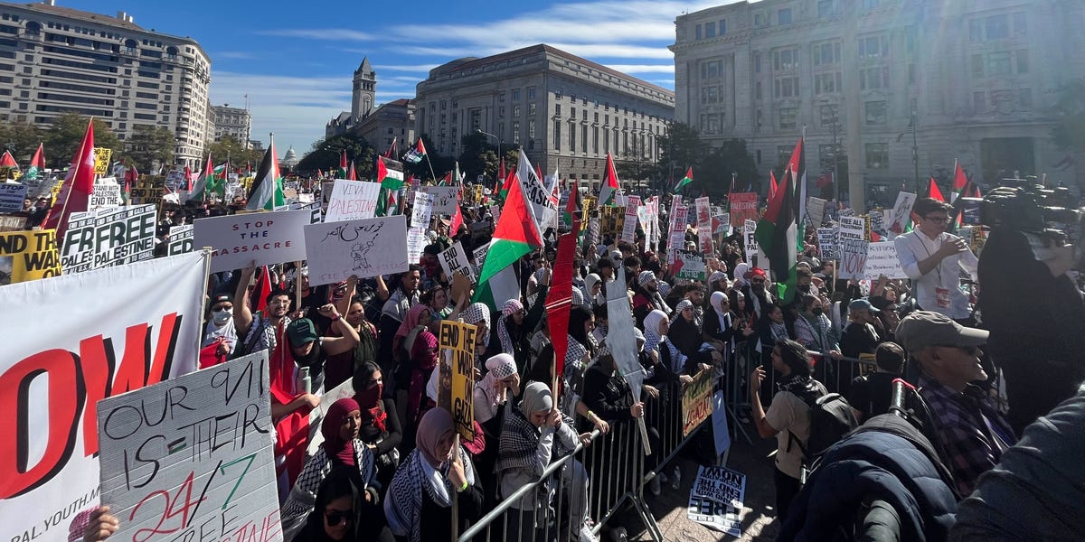 Tens of thousands, some from as far away as Georgia, descend on Washington, DC for pro-Palestinian rally